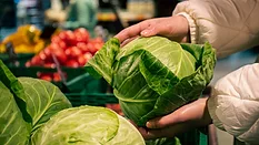 person choosing cabbage in grocery store