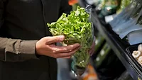 person holding romaine lettuce at grocery store_Freepik.png person holding romaine lettuce at grocery store