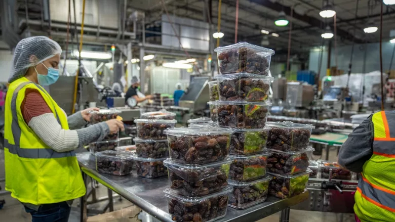 person working in date production factory wearing a covid-19 era mask