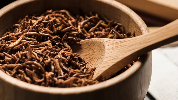 processed edible insects larvae in bowl with spoon_magnific.png processed edible insects larvae in bowl with spoon