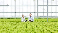 researchers in an indoor hydroponic growing facility_freepic.diller via freepik.png researchers in an indoor hydroponic growing facility