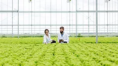 researchers in an indoor hydroponic growing facility