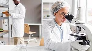 researchers working in a lab using a microscope