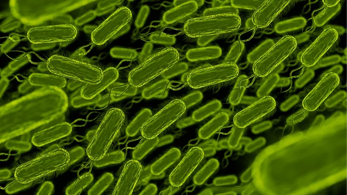 3d rendering of rod shaped bacteria