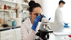 scientist working in the lab