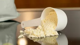 scoop of yellowish white formula milk powder