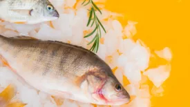 fresh whole fish on ice on yellow table