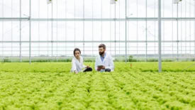 researchers in an indoor hydroponic growing facility