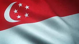 waving texturized singapore flag