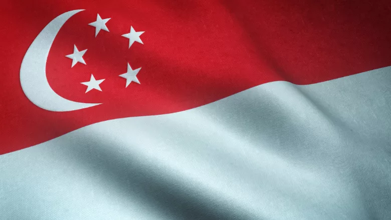 waving texturized singapore flag
