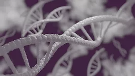 3d artistic rendering of white dna strands on purple background