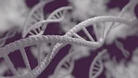 white dna strands on purple background_ Mahmoud Ahmed via Pixabay.png 3d artistic rendering of white dna strands on purple background