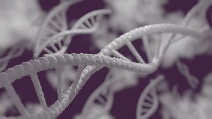 3d artistic rendering of white dna strands on purple background