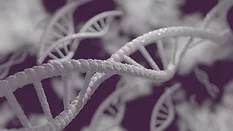 3d artistic rendering of white dna strands on purple background