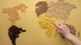 world map made of beans and grains with a person's hand touching the African continent
