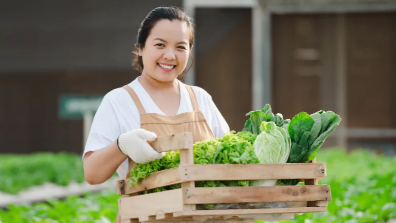 Portrait of asian farmer woman holding wooden box full of fresh raw vegetables