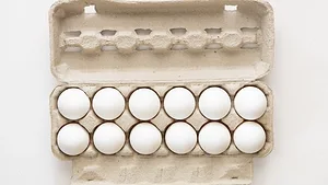 dozen white eggs