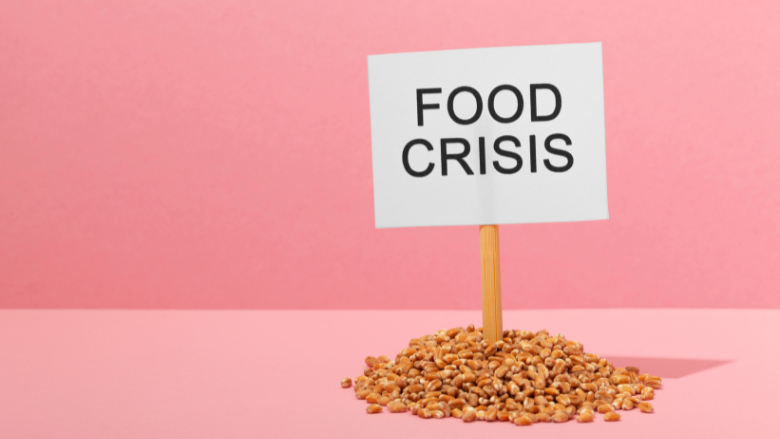 WHO, FAO Support Cross-Sector Food Safety Emergency Response in Africa, Middle East