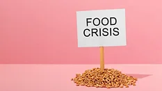 sign that says food crisis