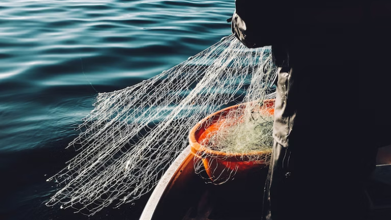 person casting fishing net on a boat