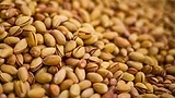 pistachios in shell_freestockcenter via Magnific.png pistachios in shell