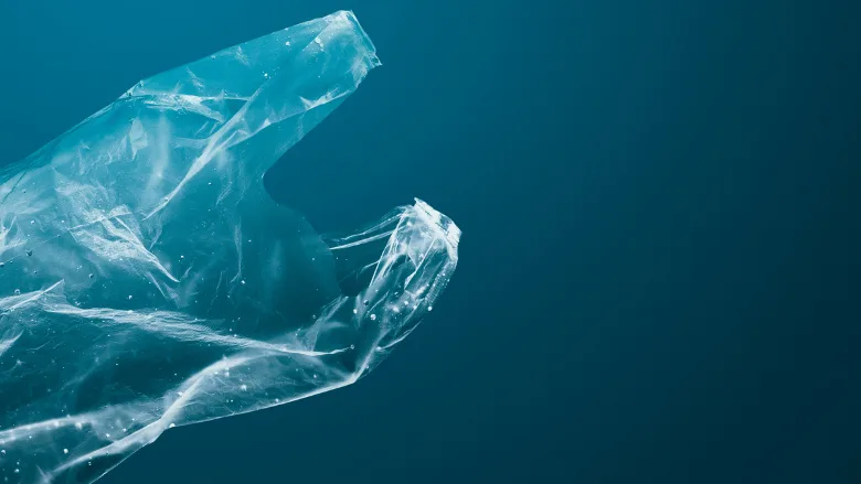 plastic bag floating in ocean