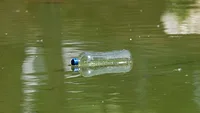 plastic pollution_Engin Akyurt via Pexels.png plastic water bottle floating in water