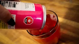 pouring a pink canned thc drink