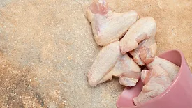 raw chicken parts