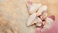 raw chicken parts