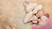 raw chicken parts_azerbaijan_stockers via magnific.png raw chicken parts