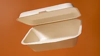 single use food container