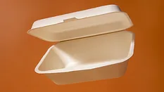 single use food container_freepik via magnific.png single use food container