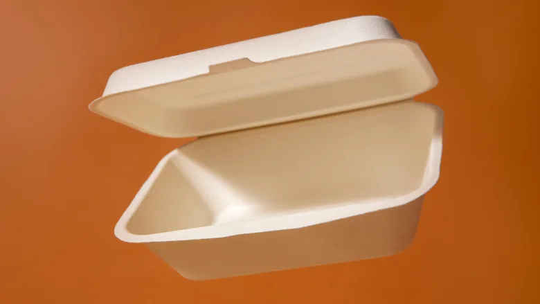 single use food container