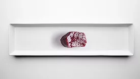 slice of dark red glistening meat on sterile white background