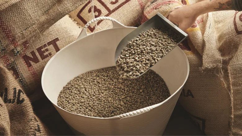 unroasted green coffee beans