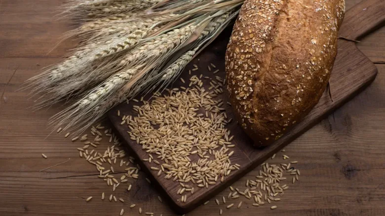 wheat grain and bread