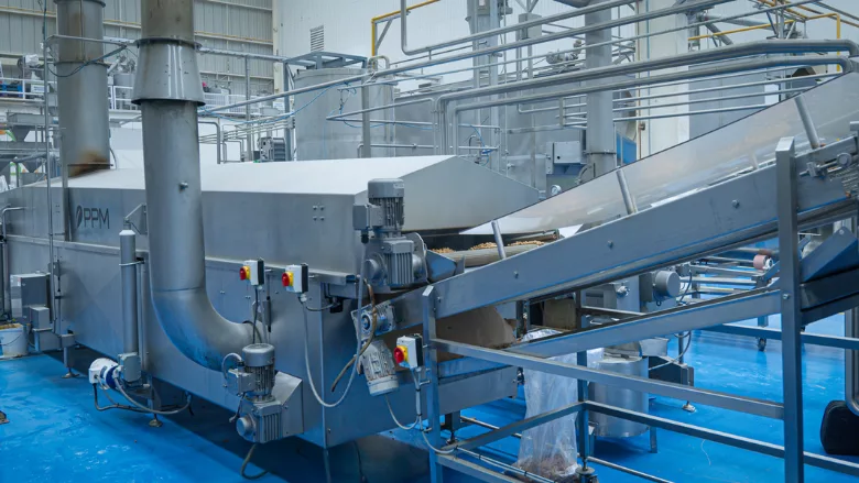 PPM CookWright fryer