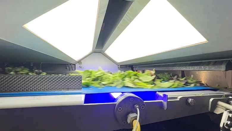 Key COMPASS optical sorter for leafy greens
