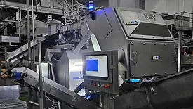 COMPASS optical sorter for vegetables