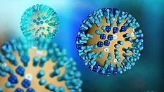 norovirus