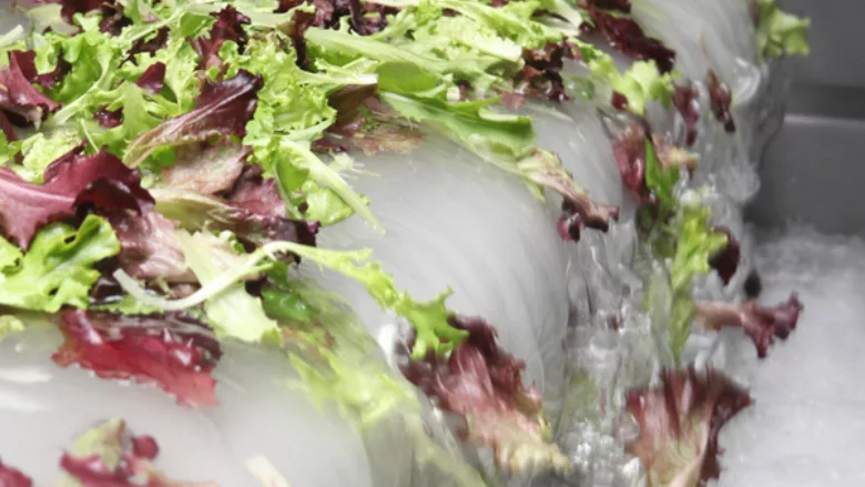 Fresh Express leafy greens waterfall