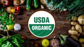 USDA Organic logo surrounded by produce