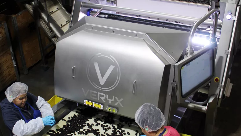 fig line VERYX sorter