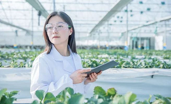 asian researchers with tablet in controlled growing environment_very good E via Getty Images.jpg asian researcher with a tablet in her hand working in a controlled environment agriculture setting