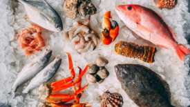 assorted seafood on ice