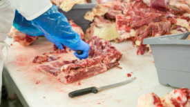 commercial meat butchering