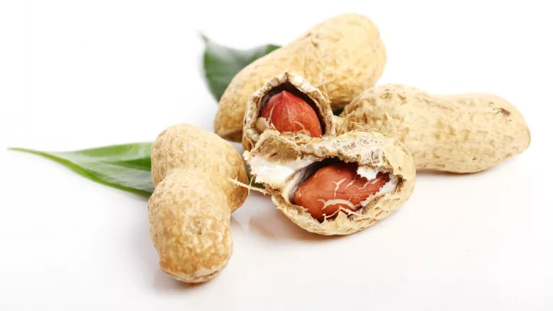 half-shelled raw peanuts