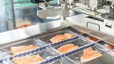 machine inspecting fish fillets on production line