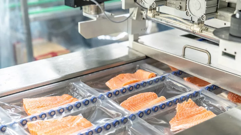 machine inspecting fish fillets on production line